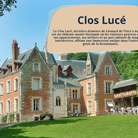 Gite Rabelais - A 5Min Du Chateau D'Amboise Extérieur photo