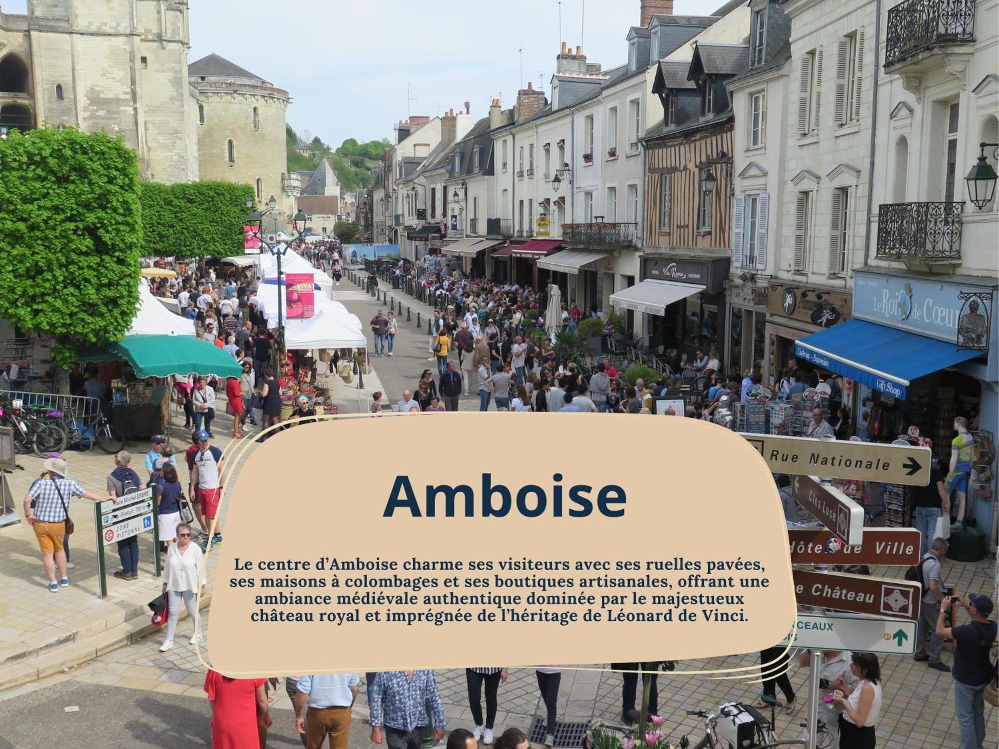 Gite Rabelais - A 5Min Du Chateau D'Amboise Extérieur photo